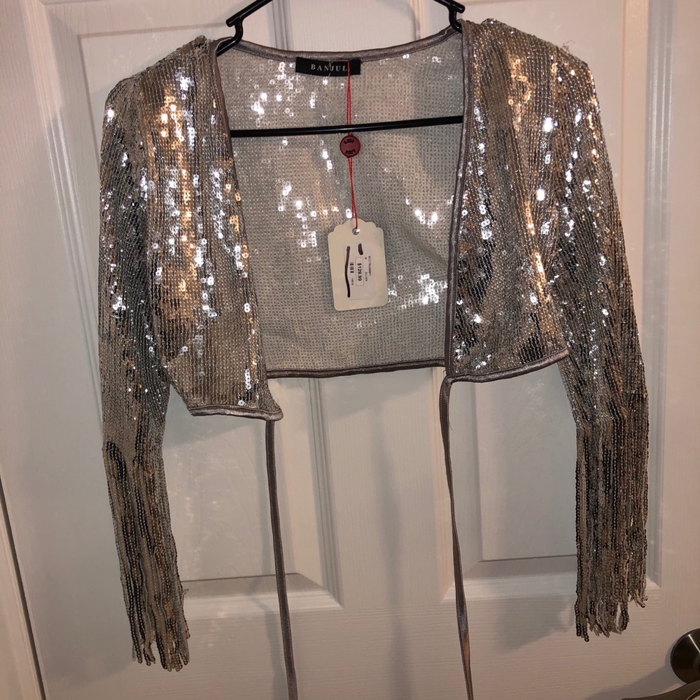 NWT Silver Sequined Crop Top